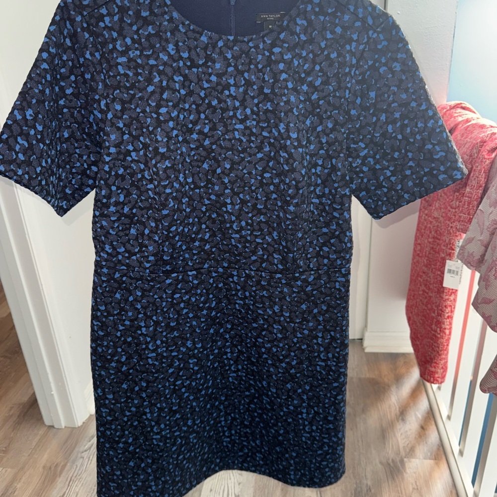 Ann Taylor Black and Blue Textured Dress